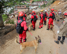 Bombeiros do Paraná concluem participação nas buscas por vítimas em Petrópolis