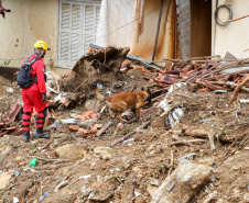 Bombeiros do Paraná concluem participação nas buscas por vítimas em Petrópolis