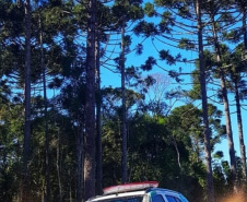 Proteção da fauna paranaense é intensificada com fiscalizações e autuações do Batalhão de Polícia Ambiental no Paraná