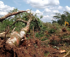 Proteção da fauna paranaense é intensificada com fiscalizações e autuações do Batalhão de Polícia Ambiental no Paraná