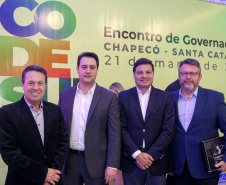 Reuniao Codesul