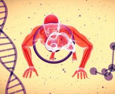 Laboratório de Fisiopatologia promove Simpósio Brasileiro de Biologia Muscular