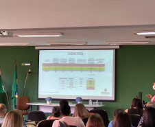 Sesa realiza 2º Encontro de Formação dos Tutores Regionais do PlanificaSUS Paraná