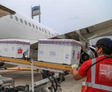 Segundo ano da pandemia no Paraná tem a marca registrada pela vacinação