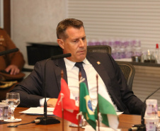 Investimento em infraestrutura paranaense é destaque em encontro do vice-governador com representantes da Suíça