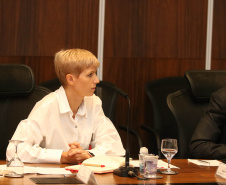 Investimento em infraestrutura paranaense é destaque em encontro do vice-governador com representantes da Suíça