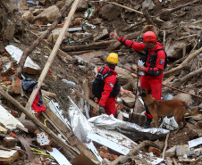 Bombeiros do Paraná concluem participação nas buscas por vítimas em Petrópolis, no Rio