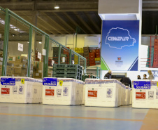 Segundo ano da pandemia no Paraná tem a marca registrada pela vacinação
