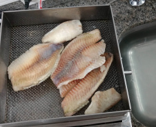 IPEM Paraná alerta consumidores sobre cuidados na compra de pescados