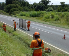 edital de conservação de 838 km de rodovias da RMC, Litoral e Sul.