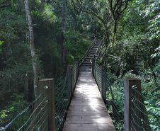  Paraná retoma projeto para regulamentar ecoturismo em Unidades de Conservação