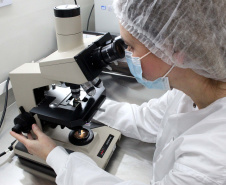 Tecpar promove palestra sobre propriedade intelectual e inovação 