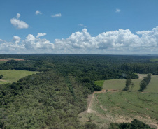 Com apoio de aeronave do BPMOA, IAT identifica irregularidades em áreas de APP 