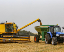 Boletim Agro