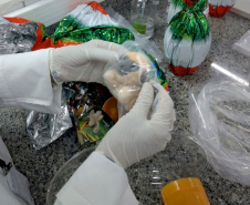 Ipem-PR dá dicas para compra de produtos consumidos na Páscoa