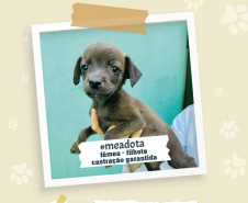 Portos do Paraná promove campanha #meadota no Dia Mundial dos Animais de Rua