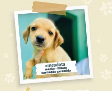 Portos do Paraná promove campanha #meadota no Dia Mundial dos Animais de Rua