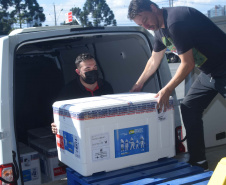 Estado recebe mais 59 mil vacinas para a dose de reforço contra a Covid-19