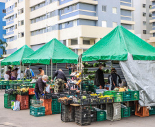 Paraná ganha a partir desta sexta-feira mapa estadual de feiras orgânicas e agroecológicas