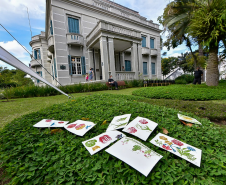 Feriado tem estreia do Balé Guaíra, atividade coletiva no MUPA e museus de portas abertas