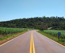 Trecho da PR-317 entre Toledo e Santa Helena recebe reforço na sinalização viária