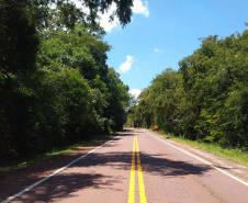 Trecho da PR-317 entre Toledo e Santa Helena recebe reforço na sinalização viária
