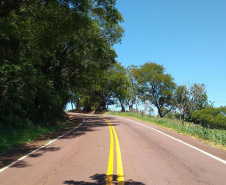 Trecho da PR-317 entre Toledo e Santa Helena recebe reforço na sinalização viária