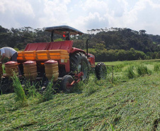 Ações para o desenvolvimento rural do Norte do Paraná serão discutidas na ExpoLondrina 2022