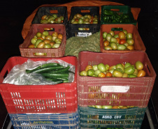 Compras públicas impulsionam produção e consumo de orgânicos no Paraná