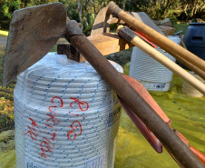 Manutenção das trilhas do Pico Paraná marcam início das atividades educativas da Semana do Meio Ambiente no Estado