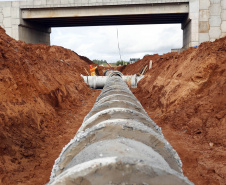 Estrada Boiadeira