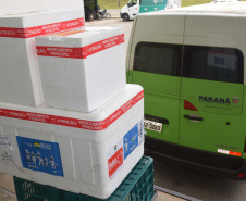 Mais de 86 mil vacinas contra a Covid-19 são distribuídas nesta quarta-feira
