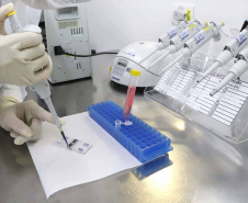 Primeiro dia do evento de criação da Cátedra Araucária para o DTS do Eixo Capricórnio destaca integração das instituições por meio da diplomacia científica - 