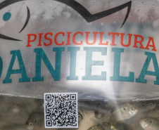 Programa Rio Vivo contribui com repovoamento de 500 mil peixes nativos na RMC