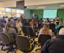 Acesso da população à saúde é tema do 4° encontro de tutores do PlanificaSUS Paraná