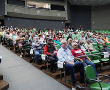 Governo do Estado regulariza 118 imóveis sem registro em Umuarama 