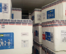 Sesa recebe mais 640 mil imunizantes para dose de reforço da população 