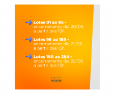 Leilão SEAP