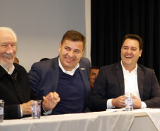 AMP CELEPAR