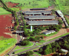 Ceasa de Maringá estará aberta na próxima quinta-feira, 16 de junho