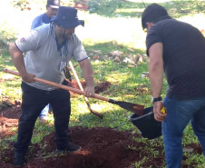 Sanepar inicia avaliação de água e solo no Arroio Dourado, em Foz do Iguaçu