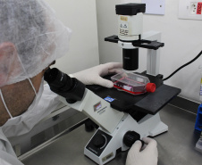 Realização de exame sorológico pelo Tecpar completa um ano, com foco na União Europeia e EUA - Na foto, profissionais do laboratório de sorologia do Tecpar realizam ensaios. O laboratório do Tecpar é credenciado no Centro para Controle e Prevenção de Doenças (CDC), dos EUA, e na agência francesa Anses-Nancy, laboratório de referência da UE 