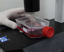 Realização de exame sorológico pelo Tecpar completa um ano, com foco na União Europeia e EUA - Na foto, profissionais do laboratório de sorologia do Tecpar realizam ensaios. O laboratório do Tecpar é credenciado no Centro para Controle e Prevenção de Doenças (CDC), dos EUA, e na agência francesa Anses-Nancy, laboratório de referência da UE 