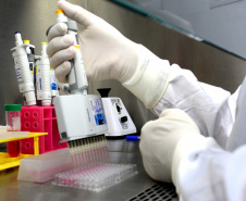 Realização de exame sorológico pelo Tecpar completa um ano, com foco na União Europeia e EUA - Na foto, profissionais do laboratório de sorologia do Tecpar realizam ensaios. O laboratório do Tecpar é credenciado no Centro para Controle e Prevenção de Doenças (CDC), dos EUA, e na agência francesa Anses-Nancy, laboratório de referência da UE 
