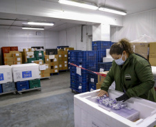 Saúde distribui 252,5 mil vacinas contra a Covid-19; lote inclui dose de reforço para adolescentes