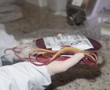 Em ação solidária, Paraná destina 124 bolsas de sangue a Pernambuco