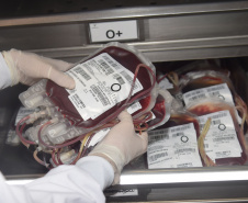 Em ação solidária, Paraná destina 124 bolsas de sangue a Pernambuco