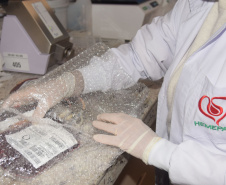 Em ação solidária, Paraná destina 124 bolsas de sangue a Pernambuco