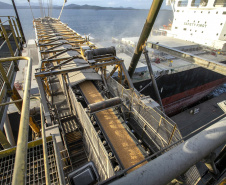 Exportação de milho a granel sobe 161% pelo Porto de Paranaguá