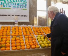 FESTA DA POKAN